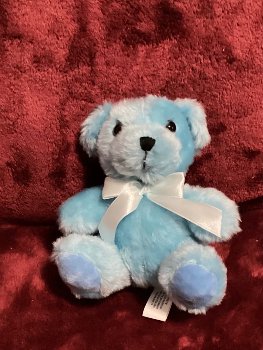 Blue Bunny